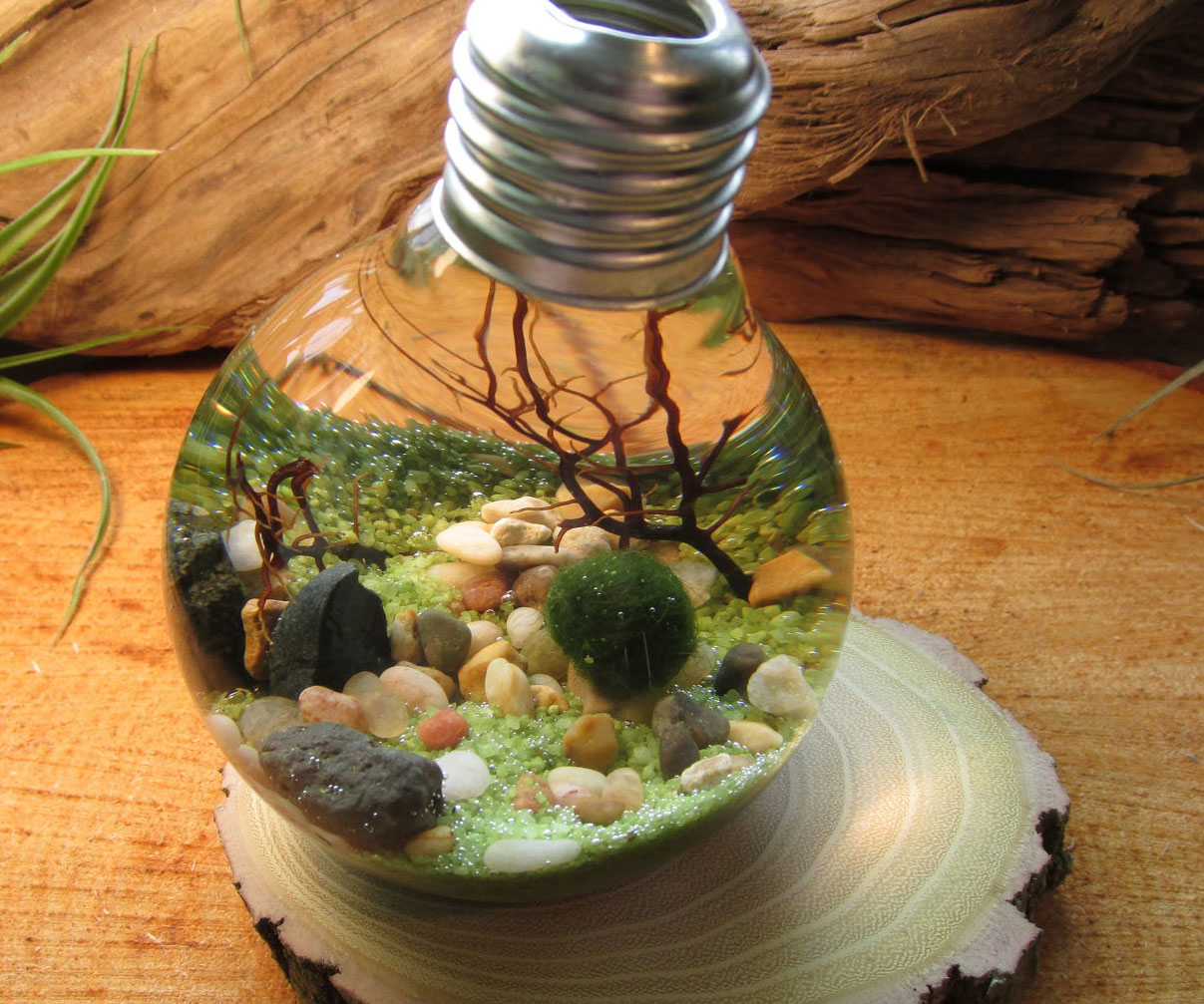 Underwater Terrarium Light Bulb