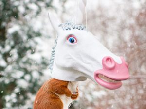 Unicorn Head Squirrel Feeder | Million Dollar Gift Ideas