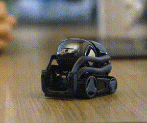 Vector Mini Personal Robot