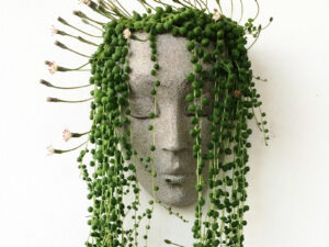 Vertical Head Planters | Million Dollar Gift Ideas