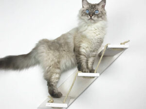 Wall Mounted Cat Stairs | Million Dollar Gift Ideas