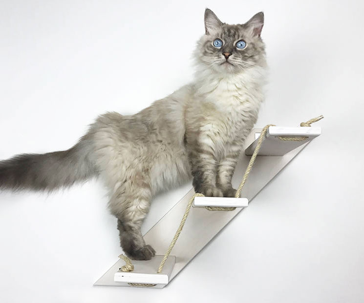 Wall Mounted Cat Stairs