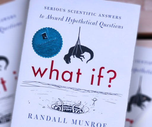 What If Book
