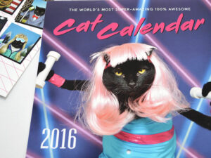 Worlds Most Amazing Cat Calendar 1